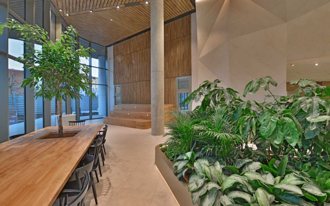 H2O Offices