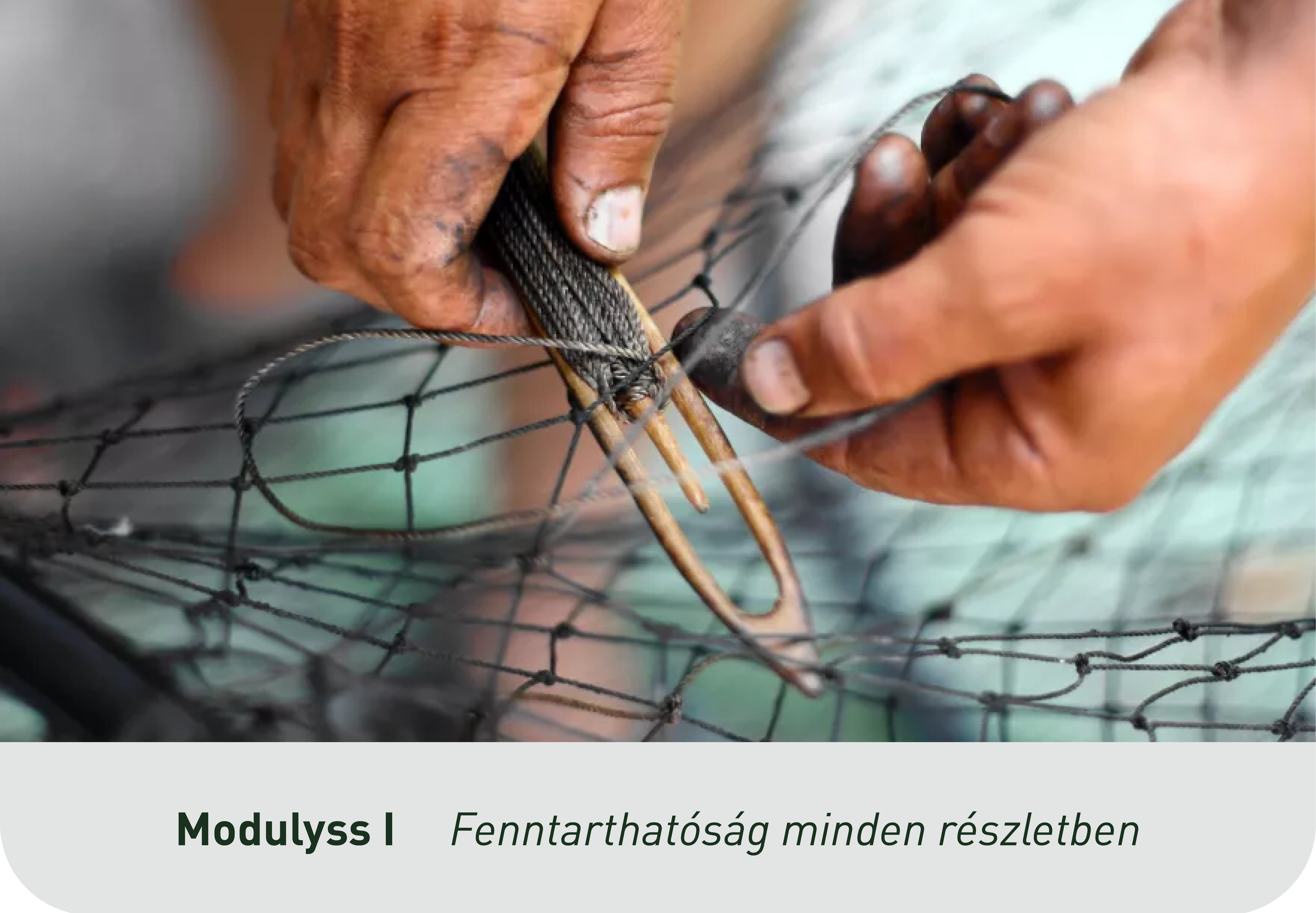 2. Modulyss